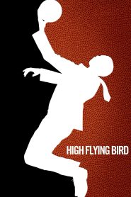 High Flying Bird